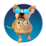 optionshunter_89314 avatar